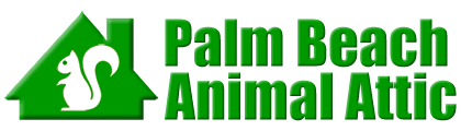 Palm Beach Animal Attic